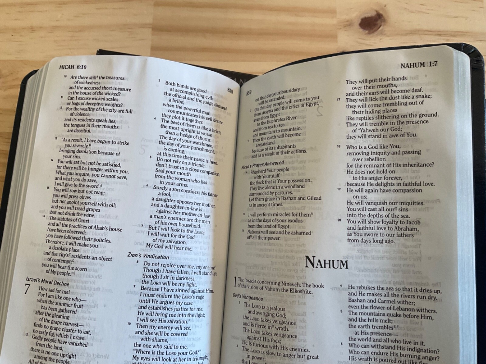 HCSB EMS Bible 2004 Holman Blue Simulated Leather