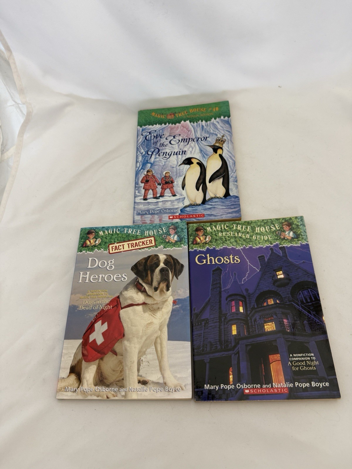 Magic Tree House Lot of 35 Books See Pics For Titles/condition Mary Pipe Osborne