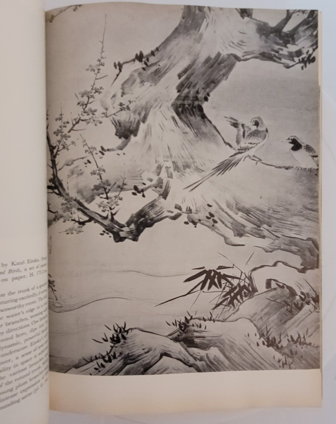 KANO EITOKU JAPANESE ARTS LIBRARY By Tsueneo Takeda 1st Edition