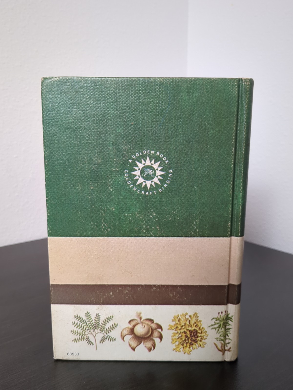 Non-Flowering Plants Golden Nature Guide Hardcover Book Mushrooms 1967