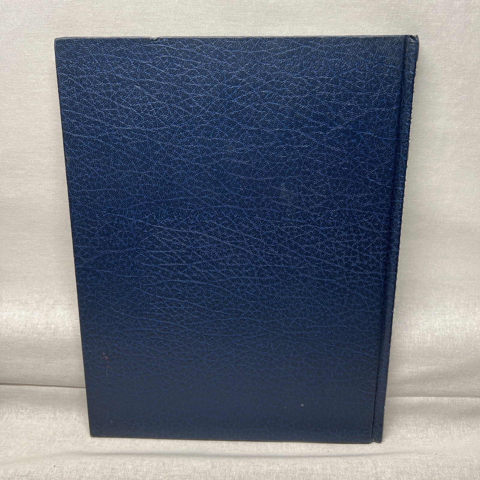 Anemonefishes of the World by Dr. Gerald R Allen Copyright 1980