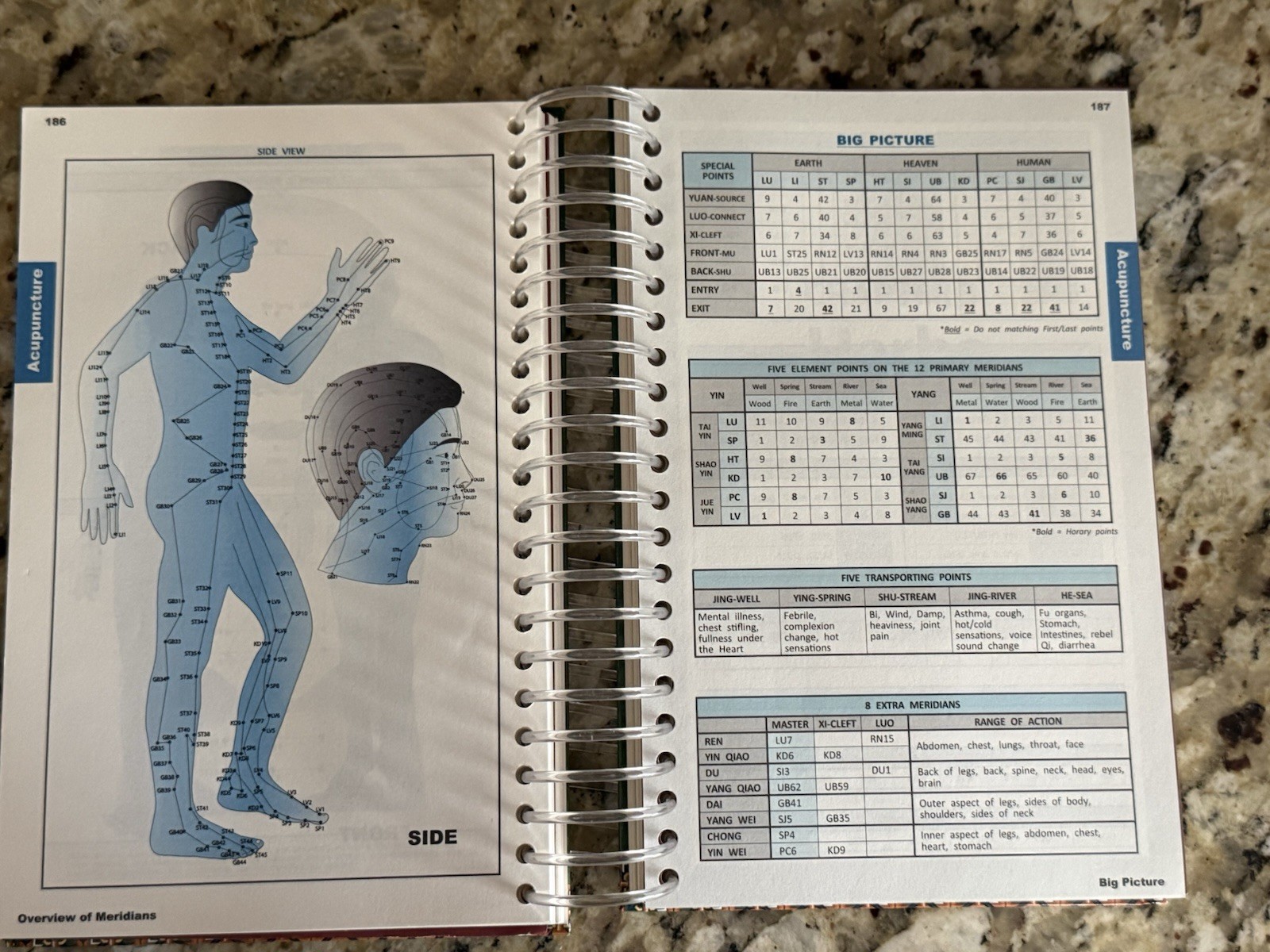 Minibook of Oriental Medicine by HB KIM