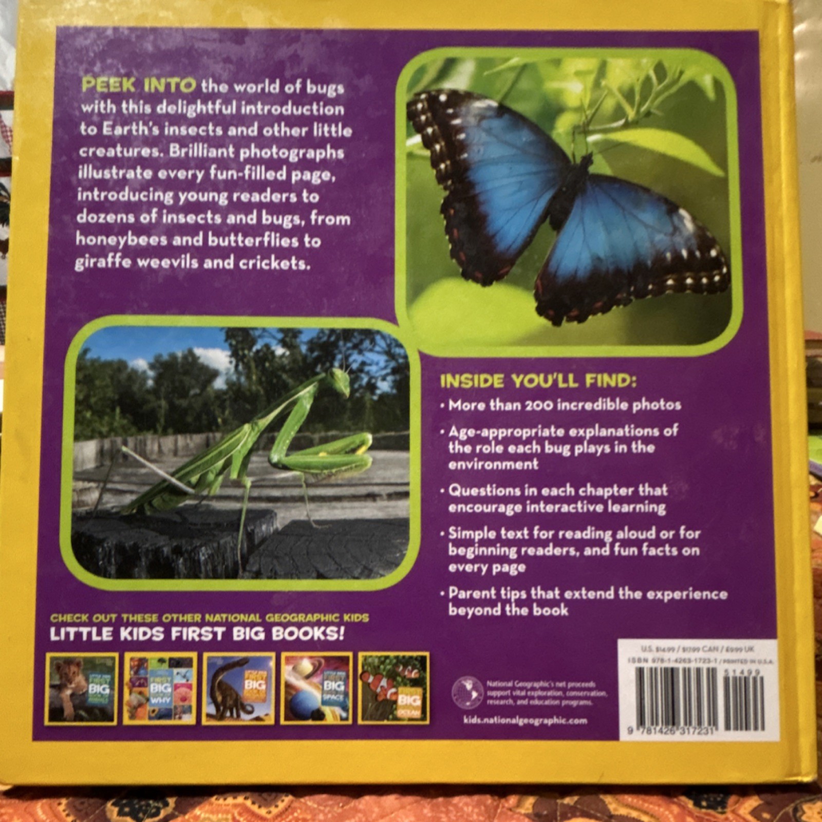 National Geographic Kids Little Kids First Big Book of Bugs Hardcover Catherine…
