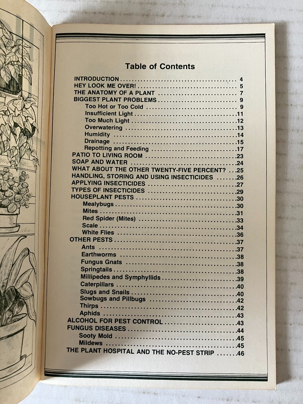 The Houseplant Doctor Rex E. Mabe 1975 Potpourri Press Houseplants Guide PB