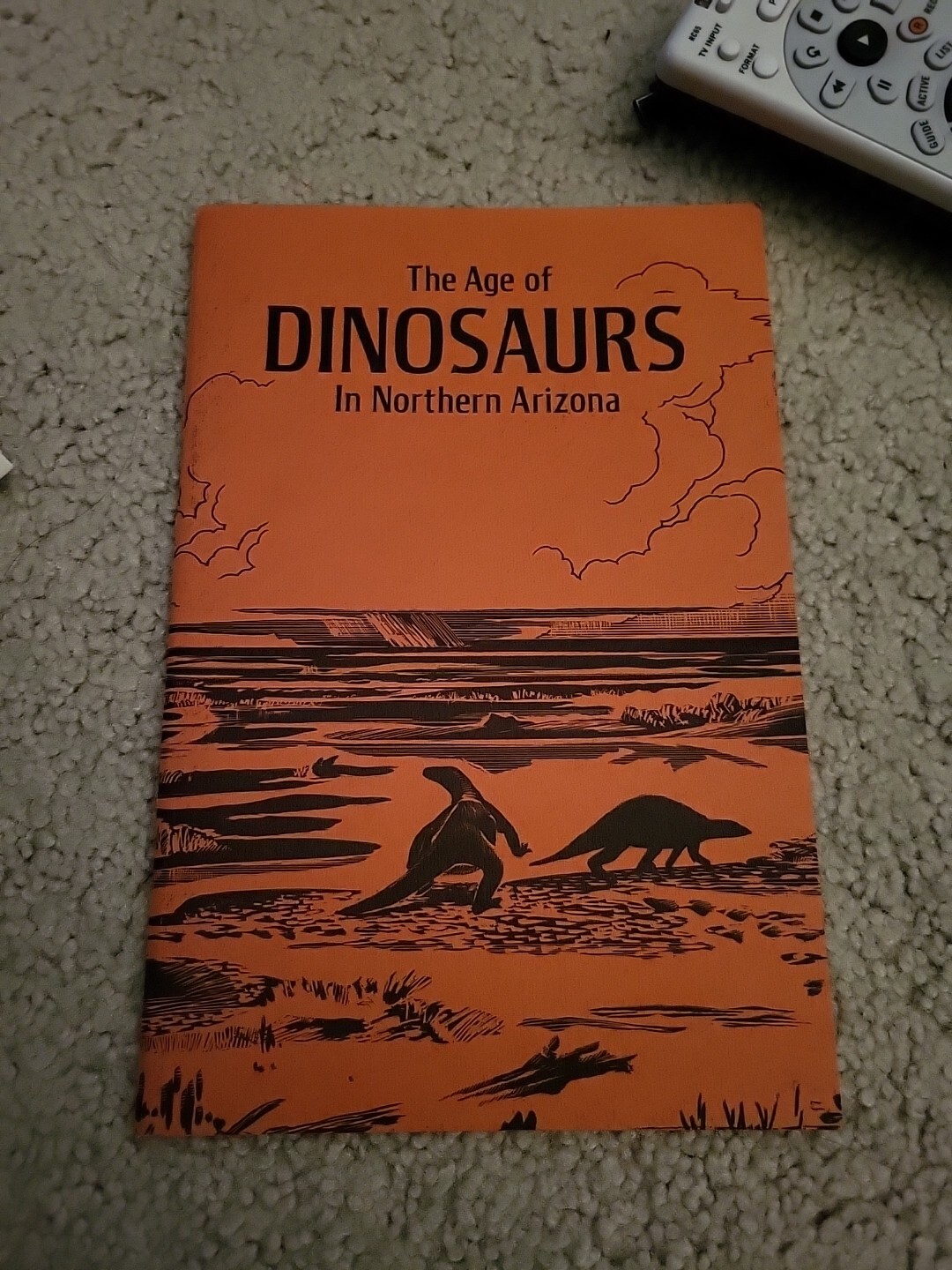 The Age of Dinosaurs in Northern Arizona. 1972 45 pages Paperback Illustrated