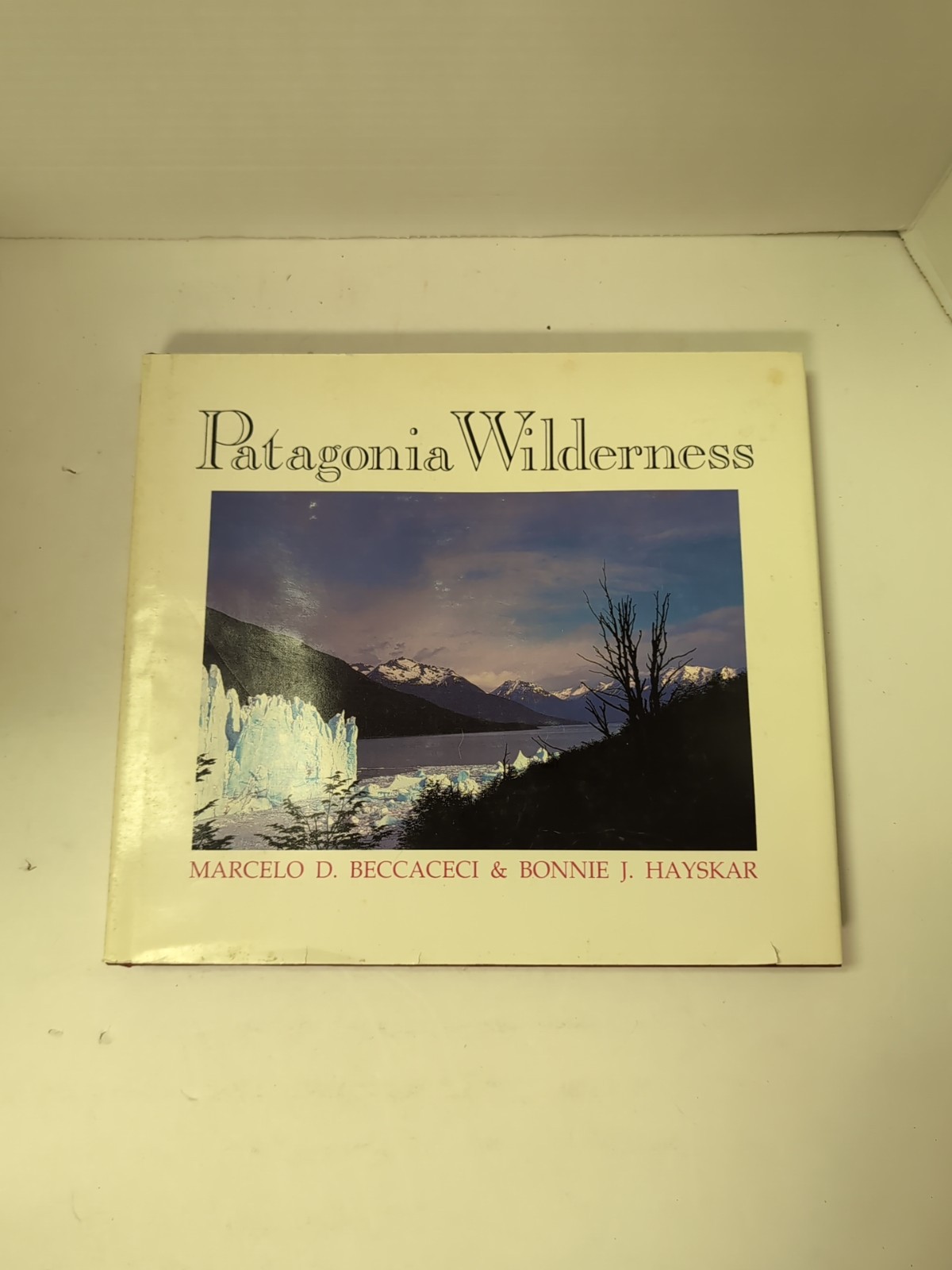 Patagonia Wilderness by Beccaceci 1991 Hardcover First Edition w/ DJ Photography