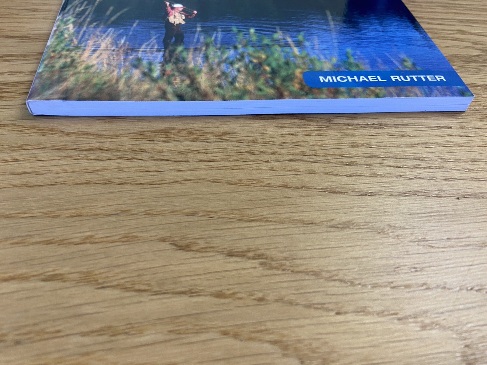 Basic Essentials Ser.: Basic Essentials Fly Fishing by Michael Rutter (2006,..58