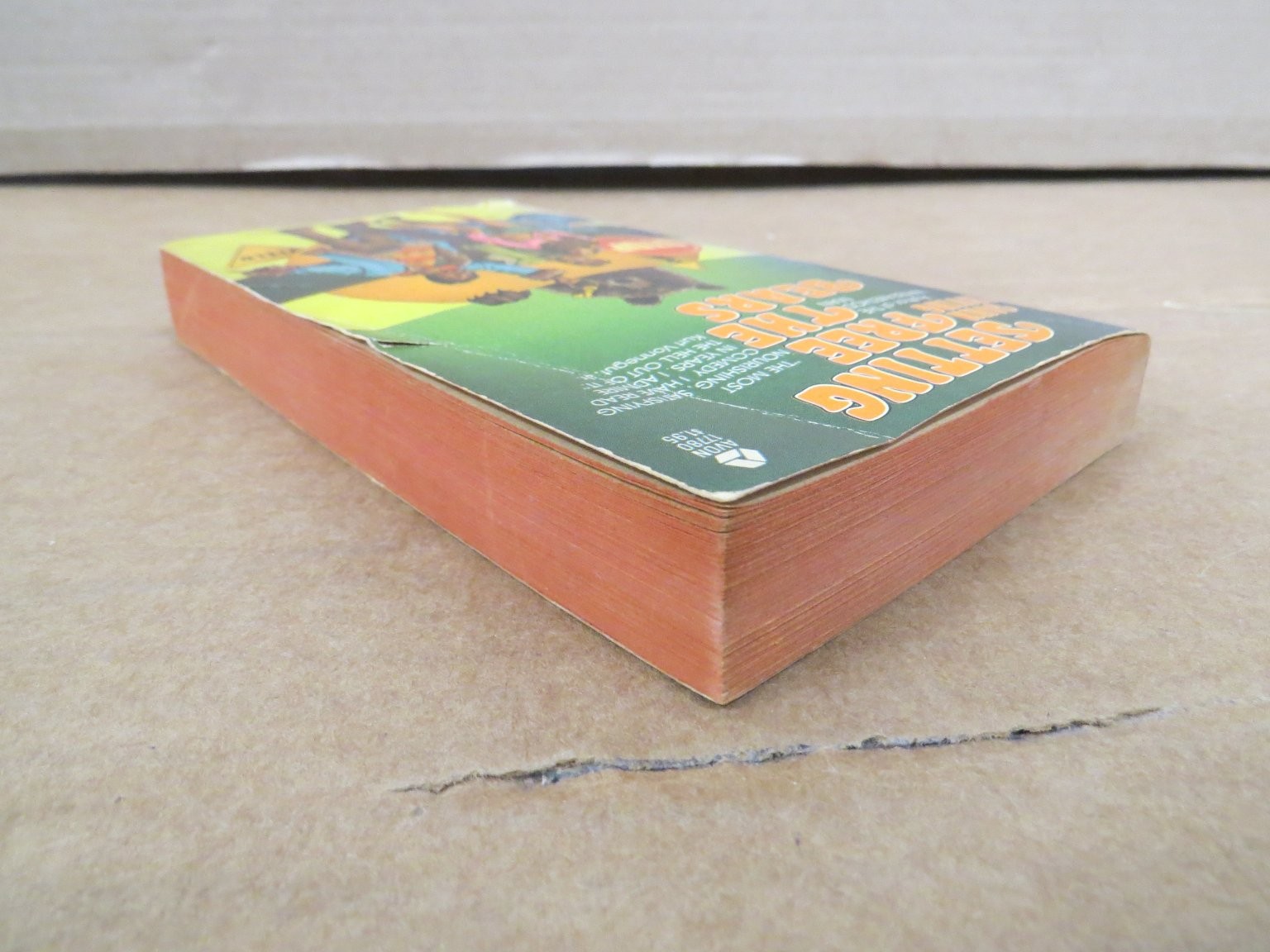 Setting Free the Bears John Irving 1974 First Avon Printing Paperback Novel