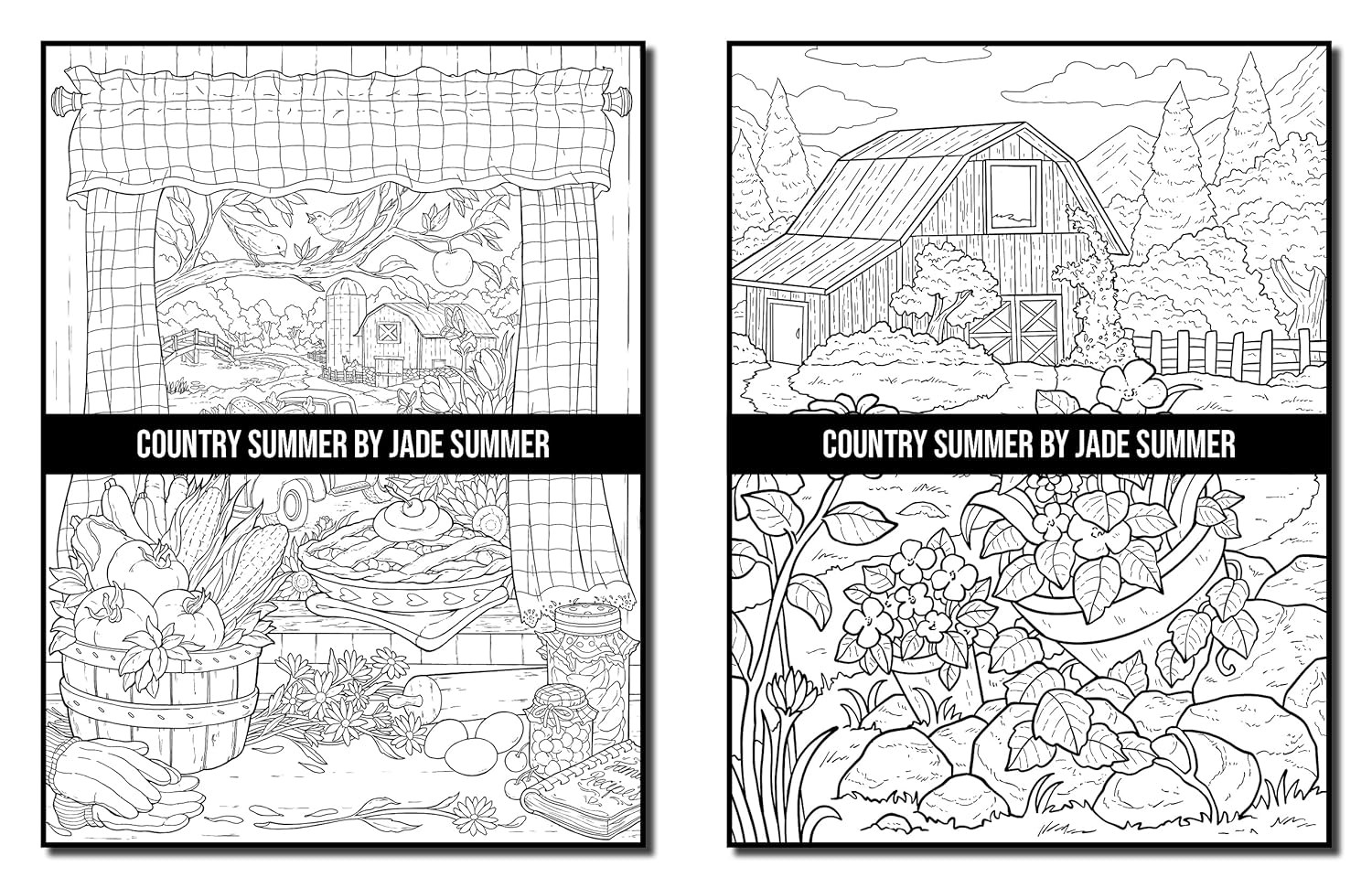 Country Summer: An Adult Coloring Book with 50 Detailed Images of Charming Count