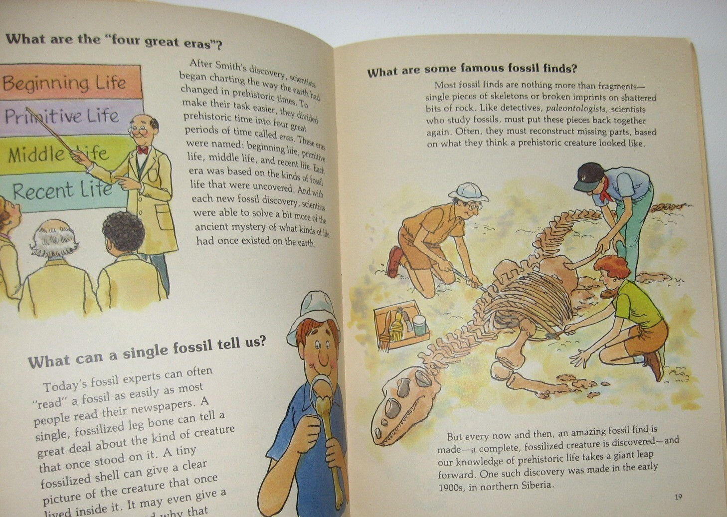 Discovering Fossils by Wendy Rydell, 1984 Paperback