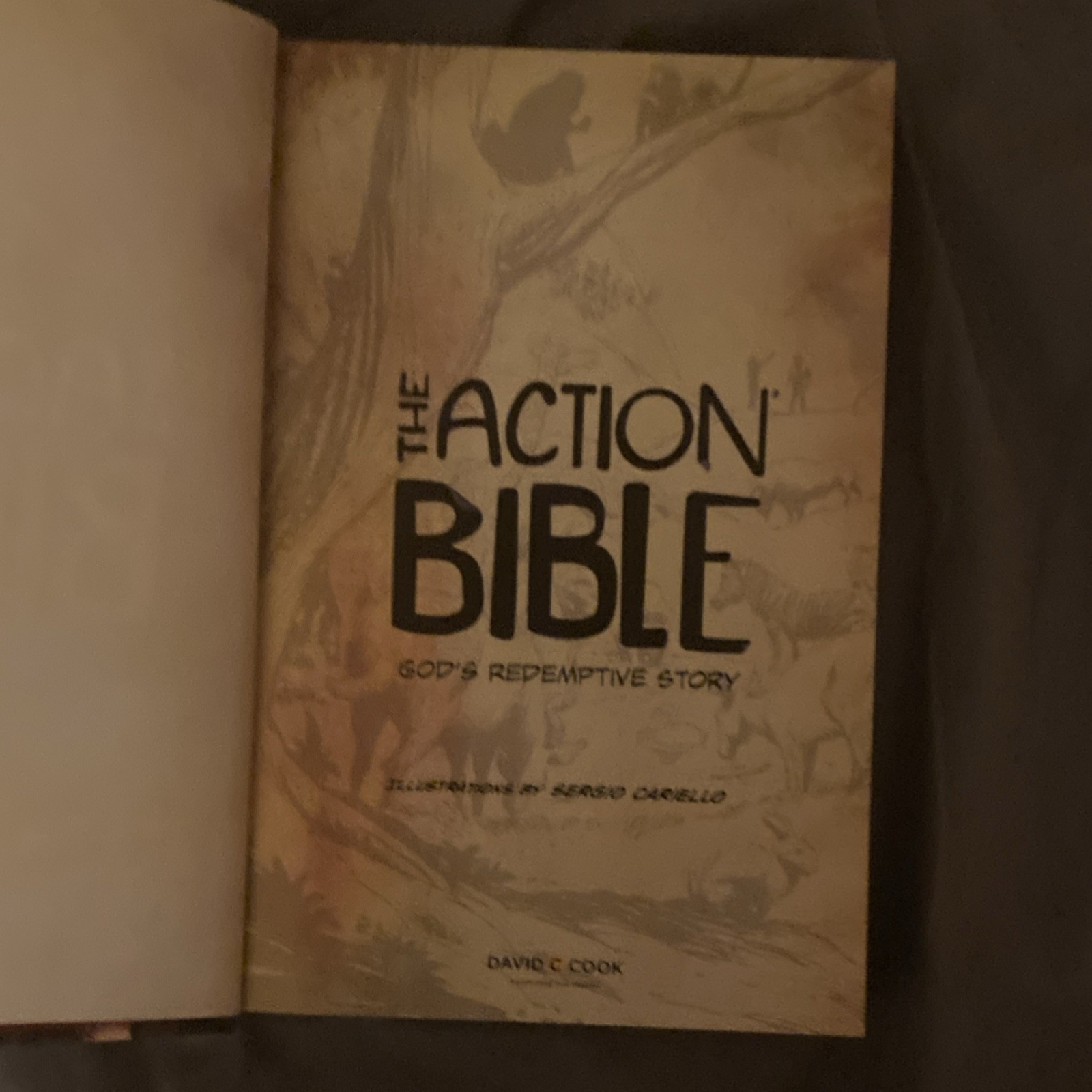 The Action Bible God’s Redemptive Story Illustrated Hardcover David C Cook Serg…