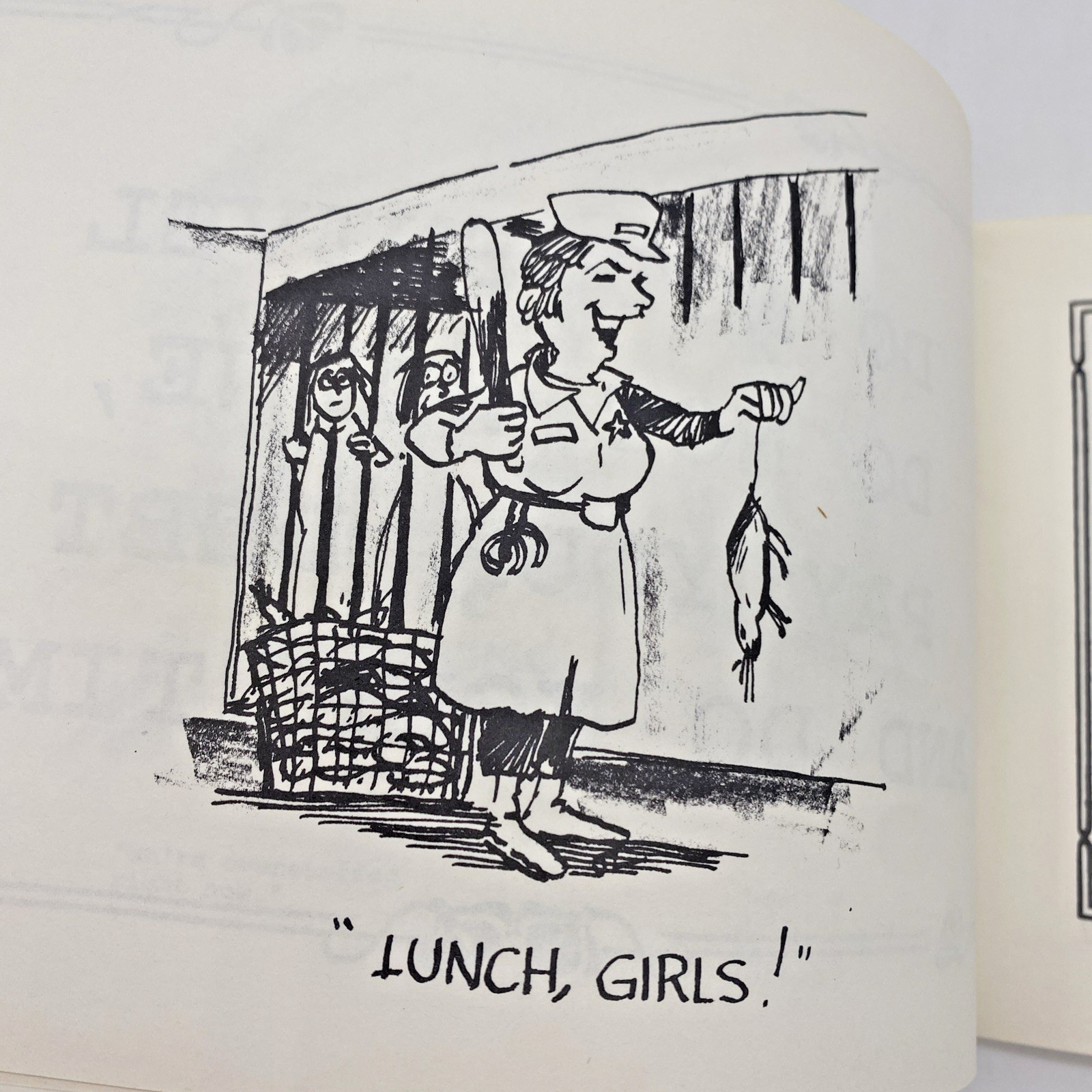 Comedy Escape A collection of Correctional Prison Officer Comedy Jeanne Willis