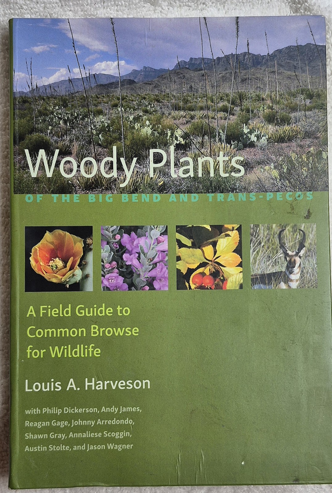 Woody Plants of the Big Bend and Trans‑Pecos • Haverson (2016 • Flexibound)