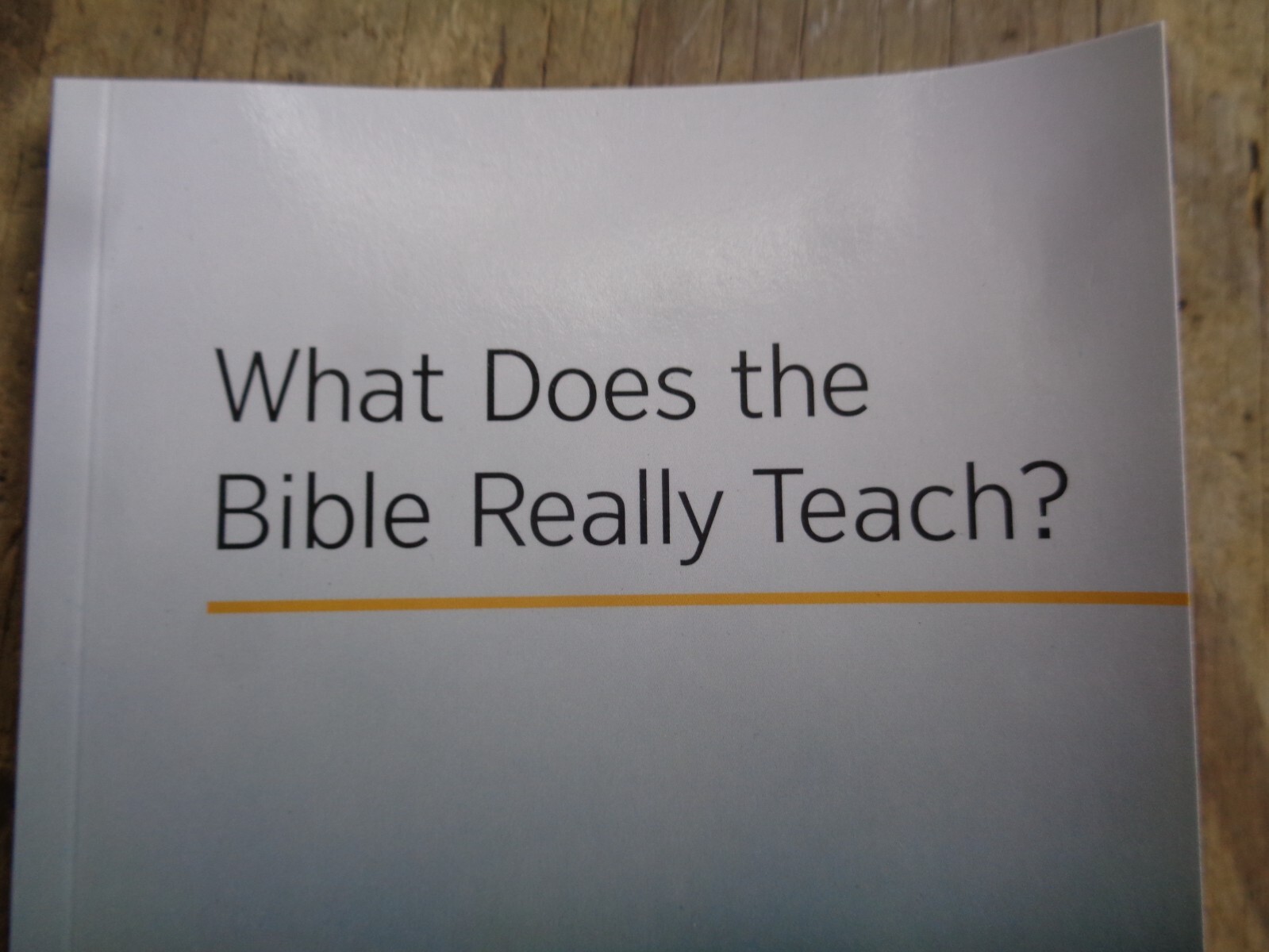 “WHAT DOES THE BIBLE REALLY TEACH?”. 2016. 223 pages. Paperback. Watchtower