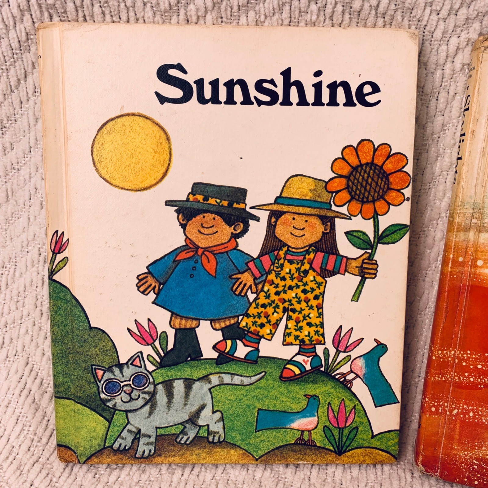 Vintage Houghton Mifflin Books Sunshine Skylights Moonbeams 1981 Elementary Lot