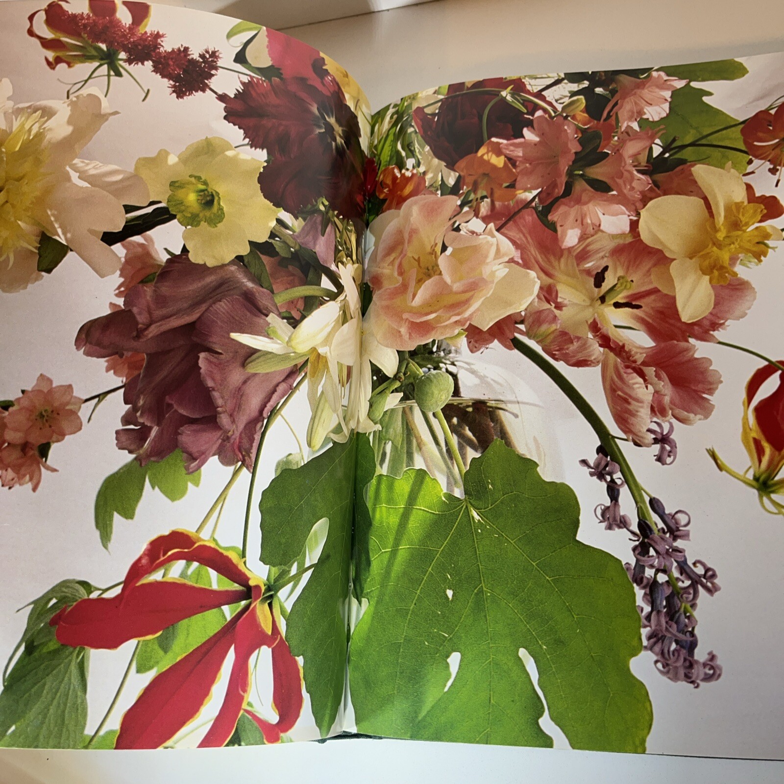 Madderlake Flowers Rediscovered 1985 First Edition Hardcover Dust Jacket NEW