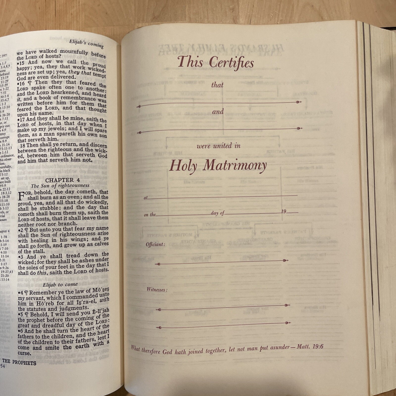 HOLY BIBLE 1970 King James Vintage HOLMAN Large Print Family Bible Illustrated