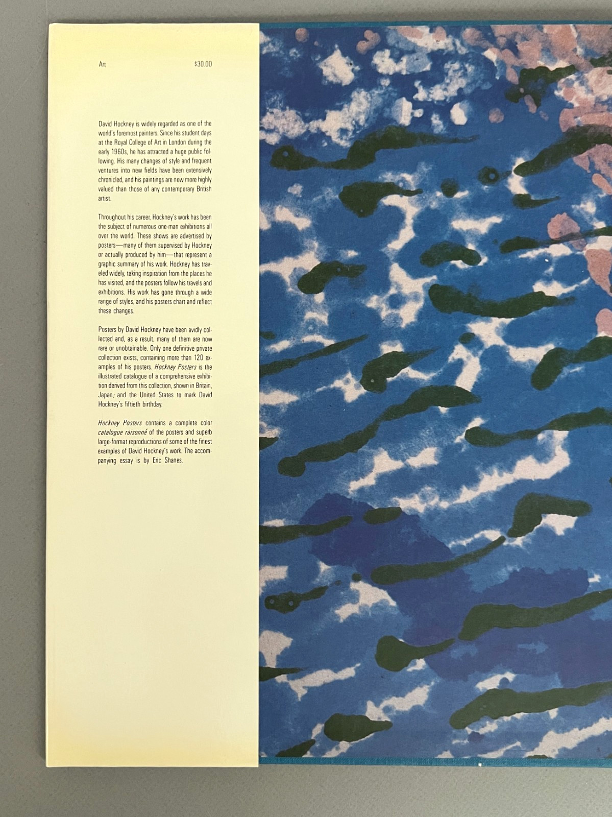 DAVID HOCKNEY POSTERS 40 Large Plates HCDJ Art Book 1987 First Edition 1st Print