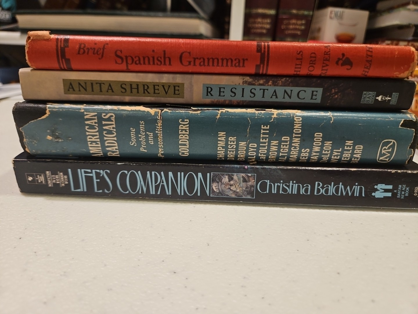 Literature Essays Ideas Book Lot Anita Shreve American Radicals Spanish 4pc