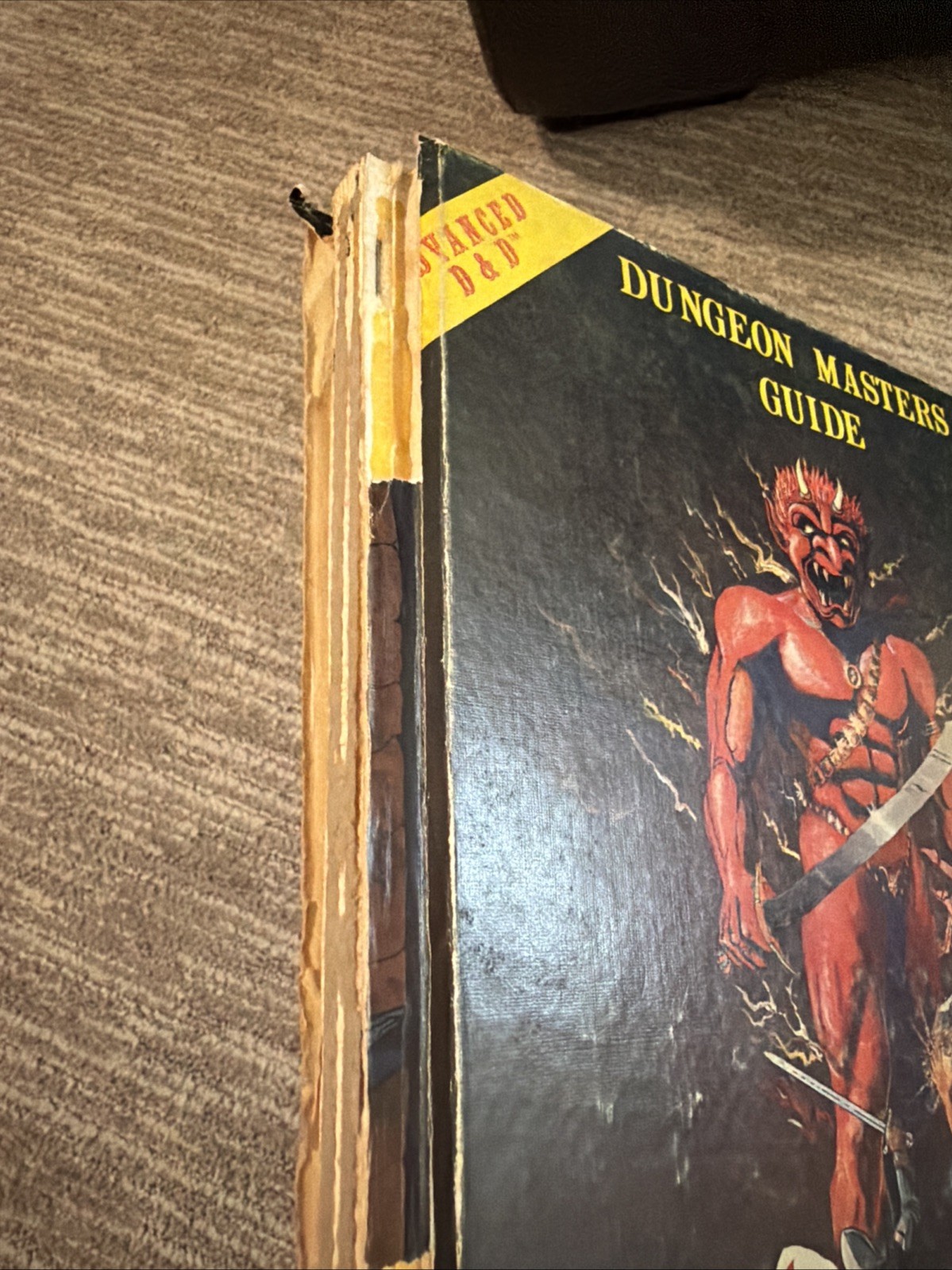 Dungeons Dragons AD&D Dungeon Master’s Guide TSR 1979 Revised Edition READ DESCR