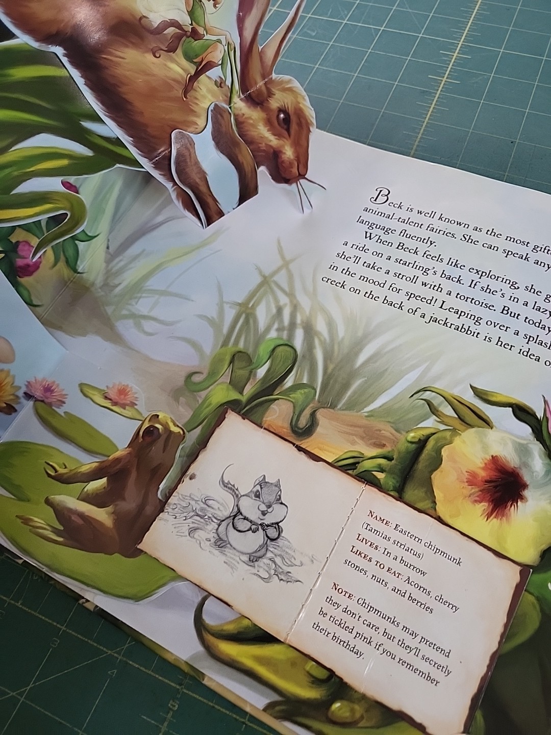 Pixie Hollow Pop-Up by Kitty Richards and Disney Books 2007 Hc “SEE PHOTOS”