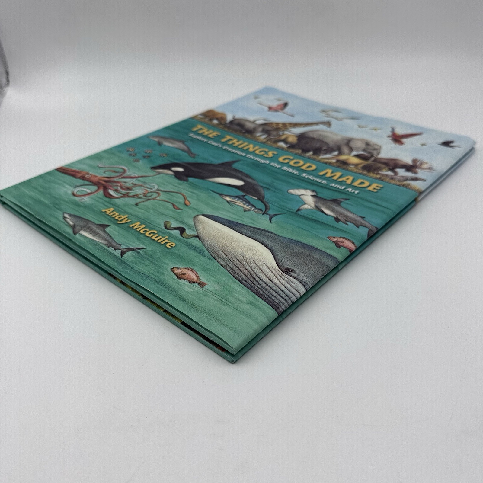The Things God Made: Explore God’s Creation through the Bible, Science, and Art