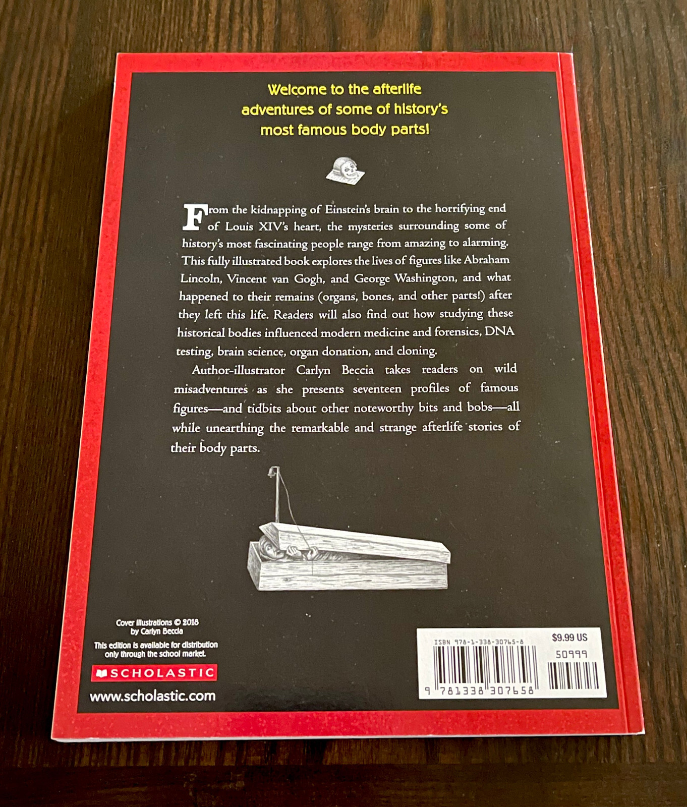 They Lost Their Heads! by Carlyn Beccia (1st Edition Trade Paperback 2018) NEW