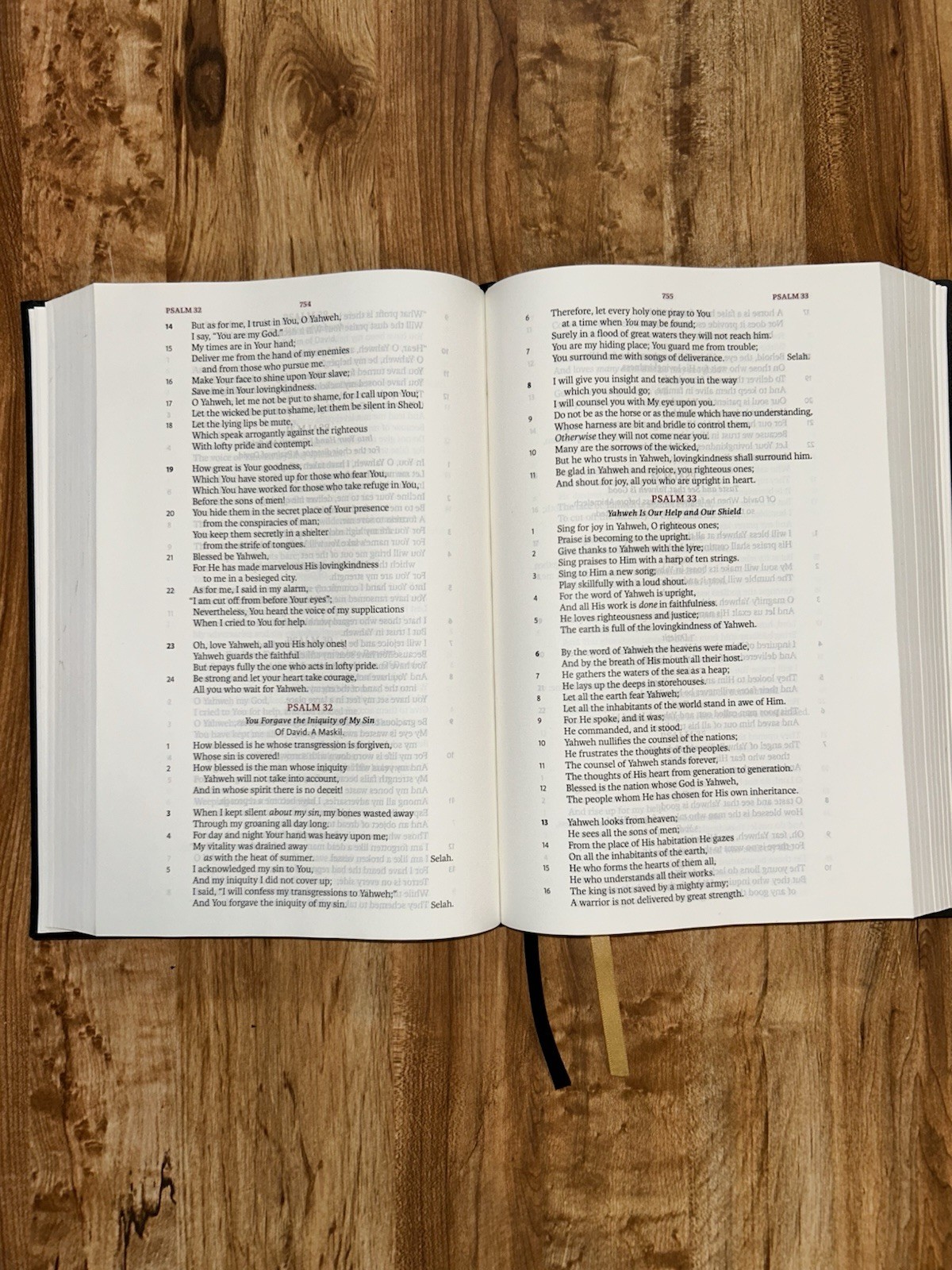 Legacy Standard Bible Holy Bible Handy Size Edition Steadfast 2021