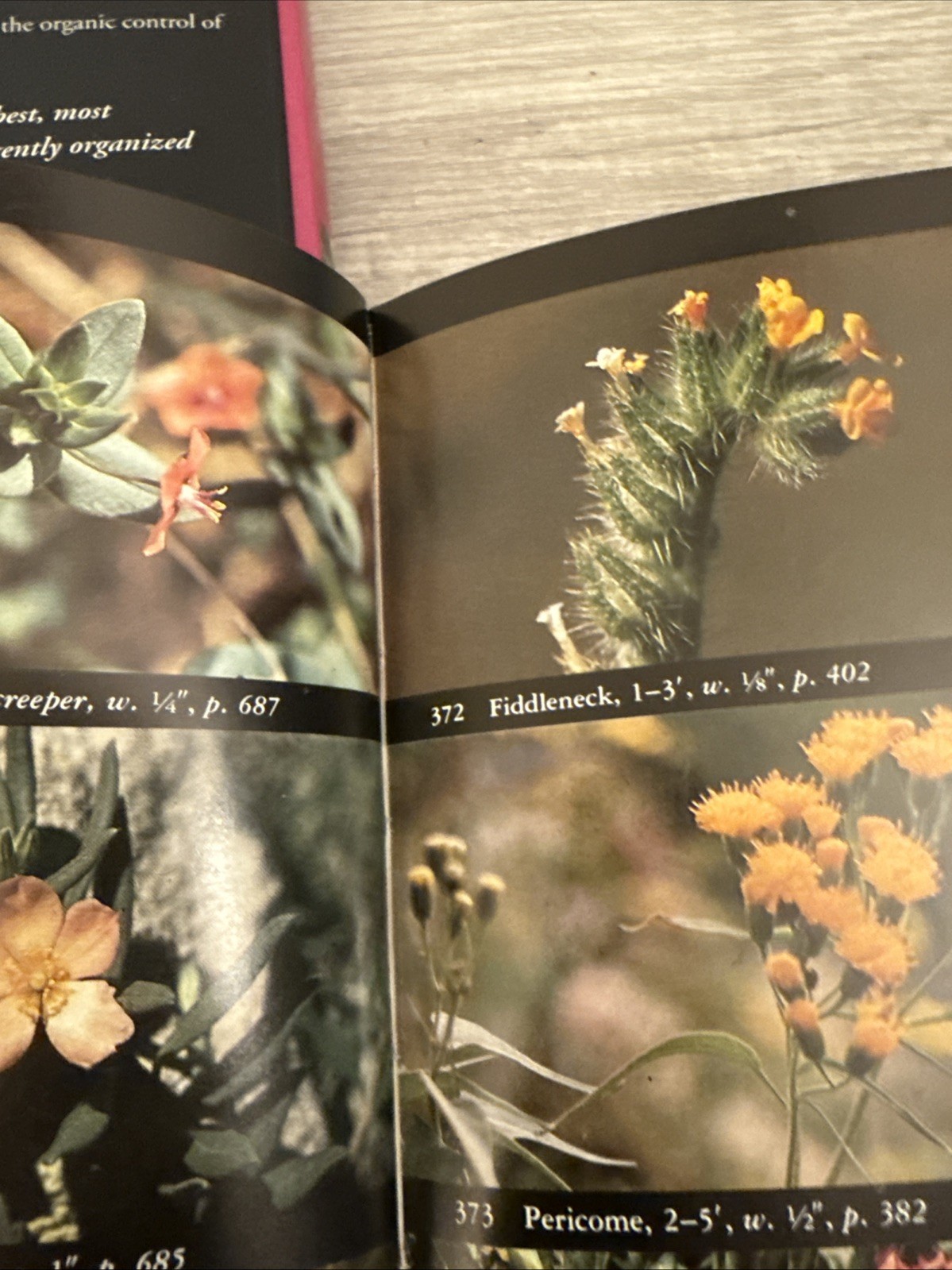 Taylor’s Guide to Orchids : More Than 300 Orchids, Photographed and…