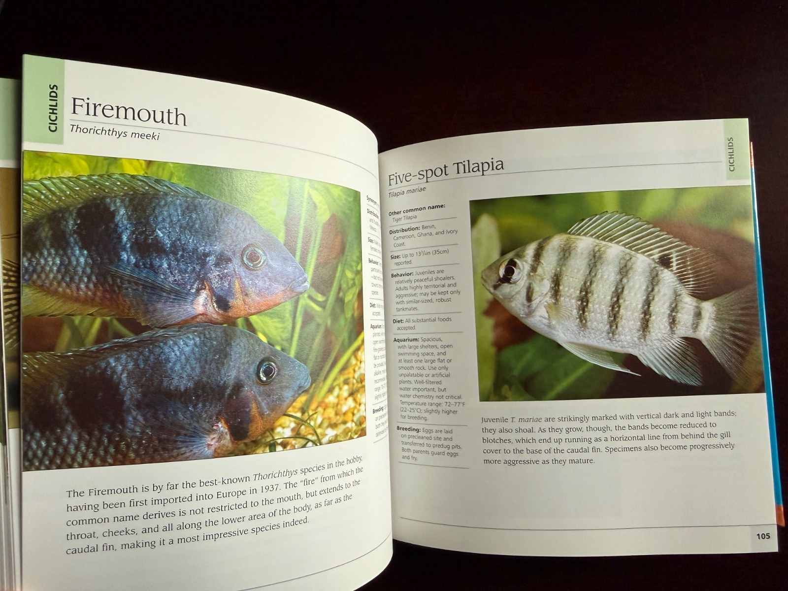500 Freshwater Aquarium Fish: A Visual Reference Most Popular Species HC NICE!