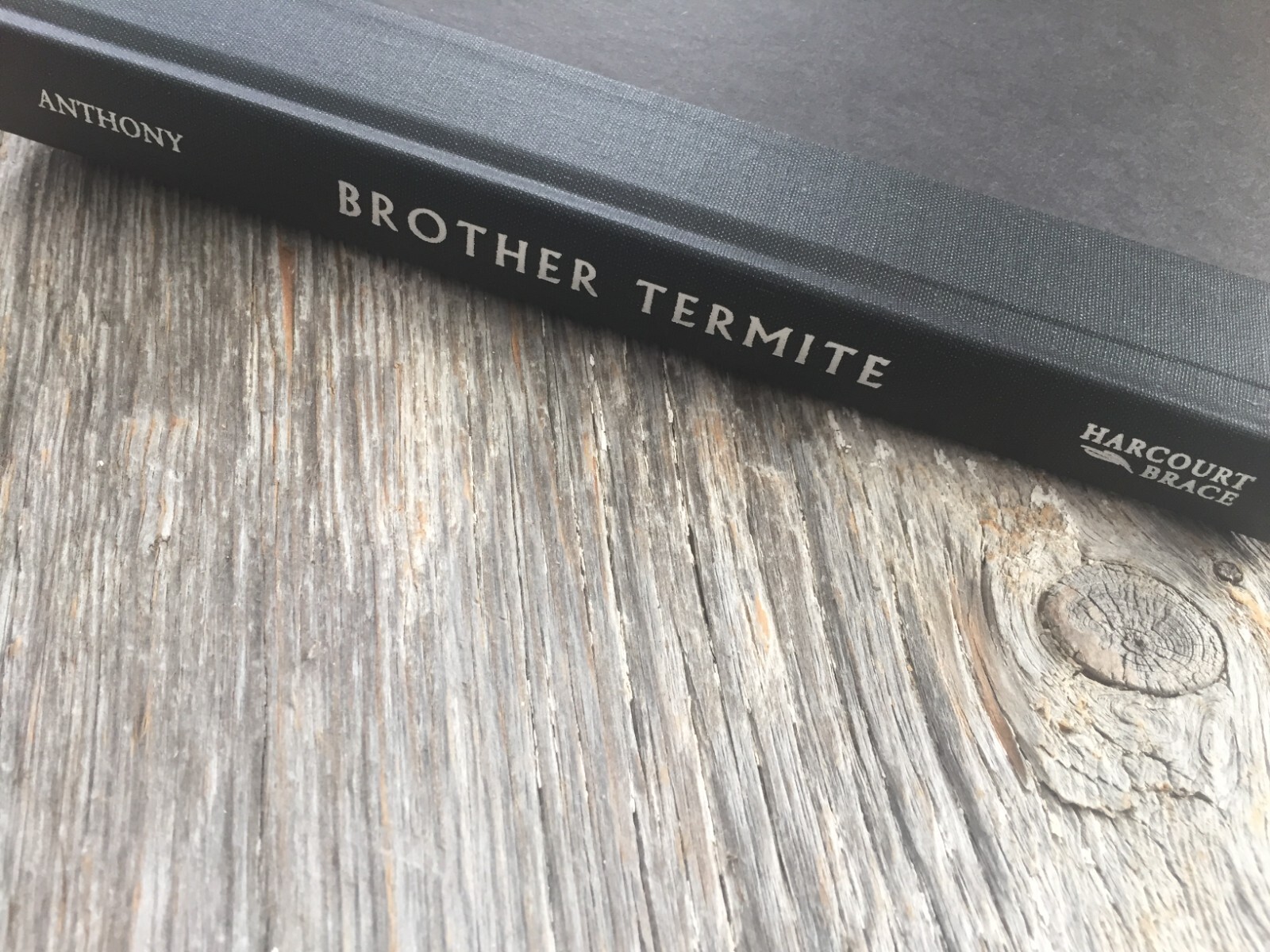 BROTHER TERMITE by Patricia Anthony (1993, Hardcover) -1st ed.