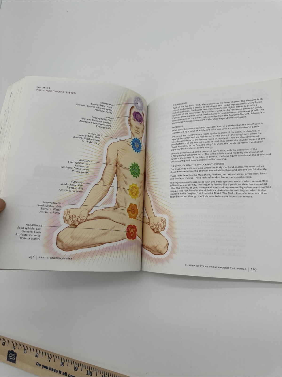 The Subtle Body Encyclopedia of Your Energetic Anatomy Cyndi Dale Paperback 2009