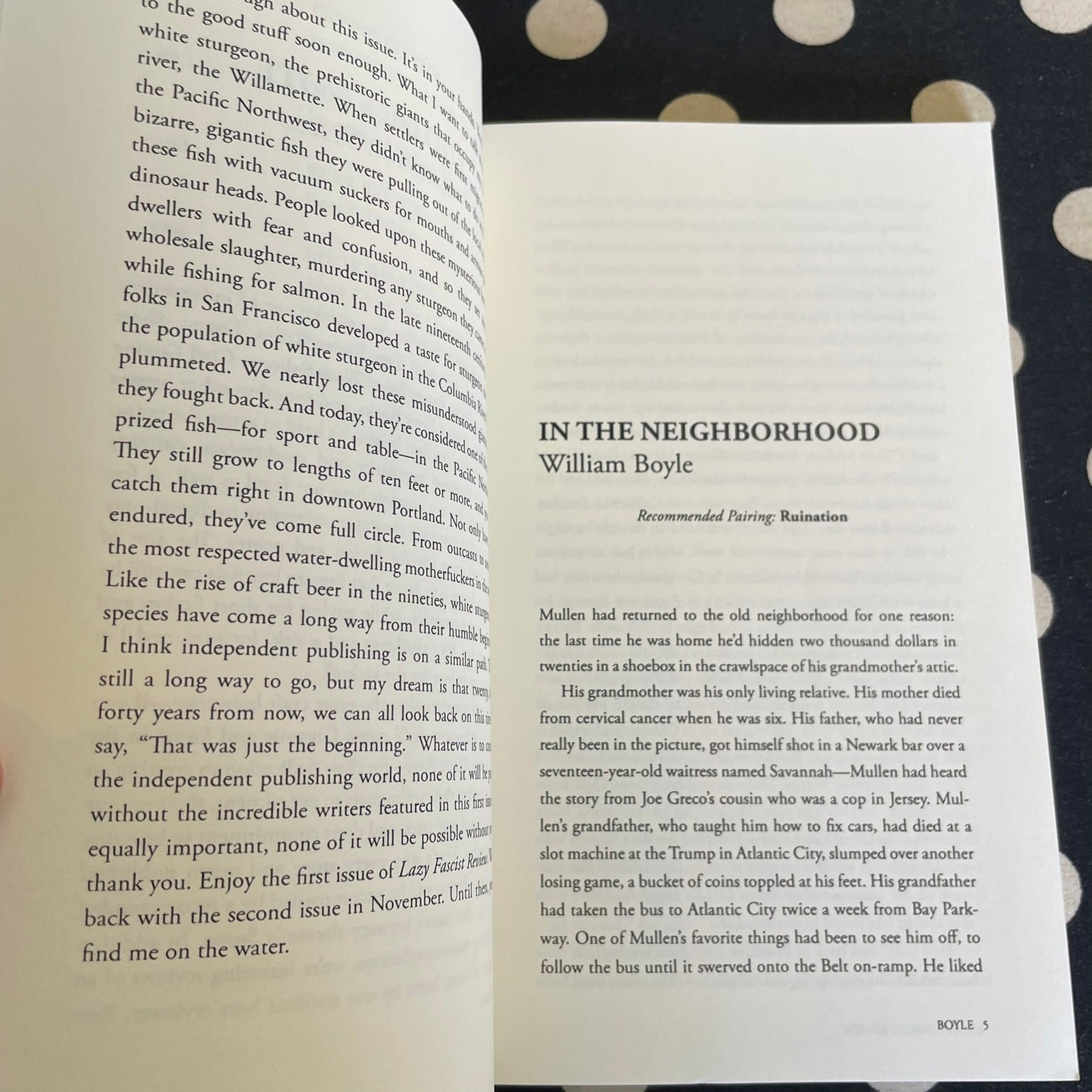Lazy Fascist Review No. 1 2014 Softcover Literary Journal DENNIS COOPER