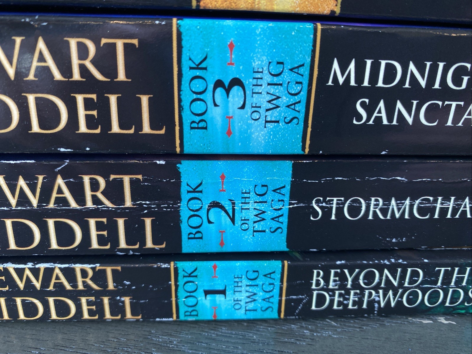 The Edge Chronicles 6 Books Set – Ages 9-14 – By Paul Stewart & Chris Riddell