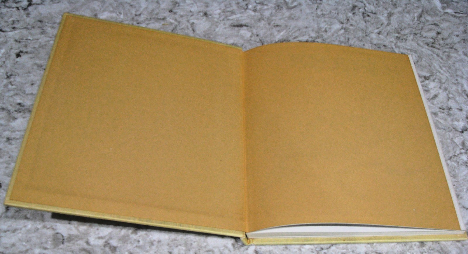 Shells by Roderick Cameron, octopus Books, 1972, 143 Illustrations, HB