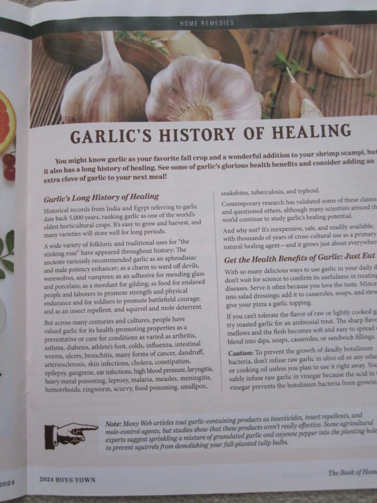 The Old Farmer’s Almanac Book of Home Remedies, 2024 & 2025, Boys Town Press