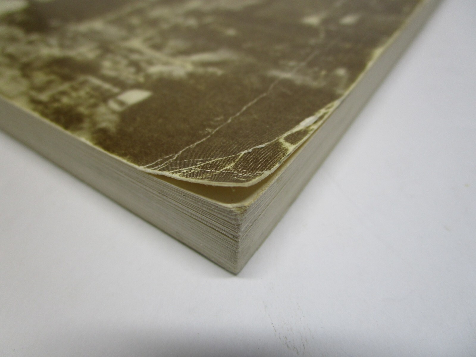 GOLD FEVER By Helen E. Wilson 3rd Printing 1987 Jarbridge Nevada