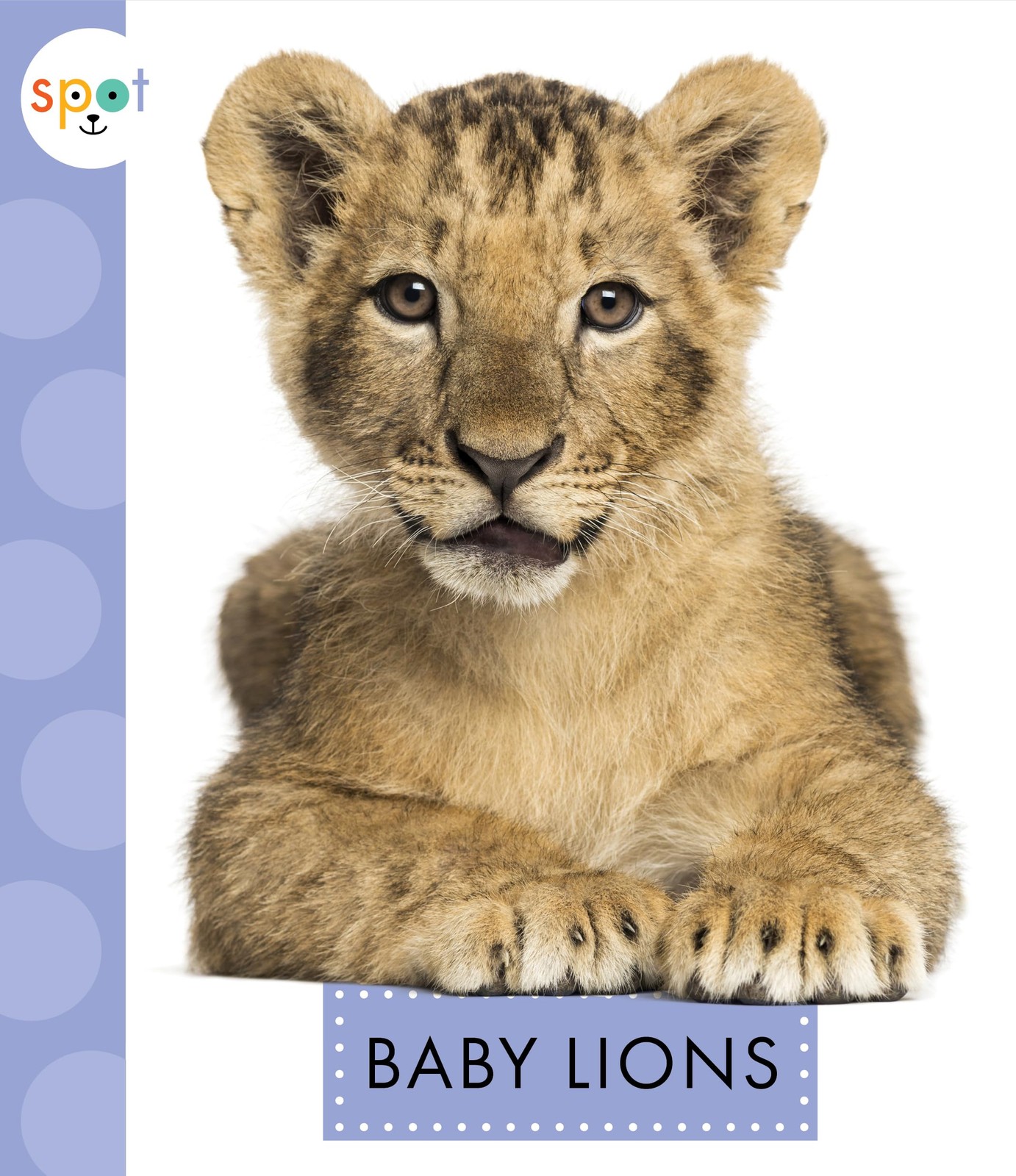 Baby Lions (Spot Baby Animals)