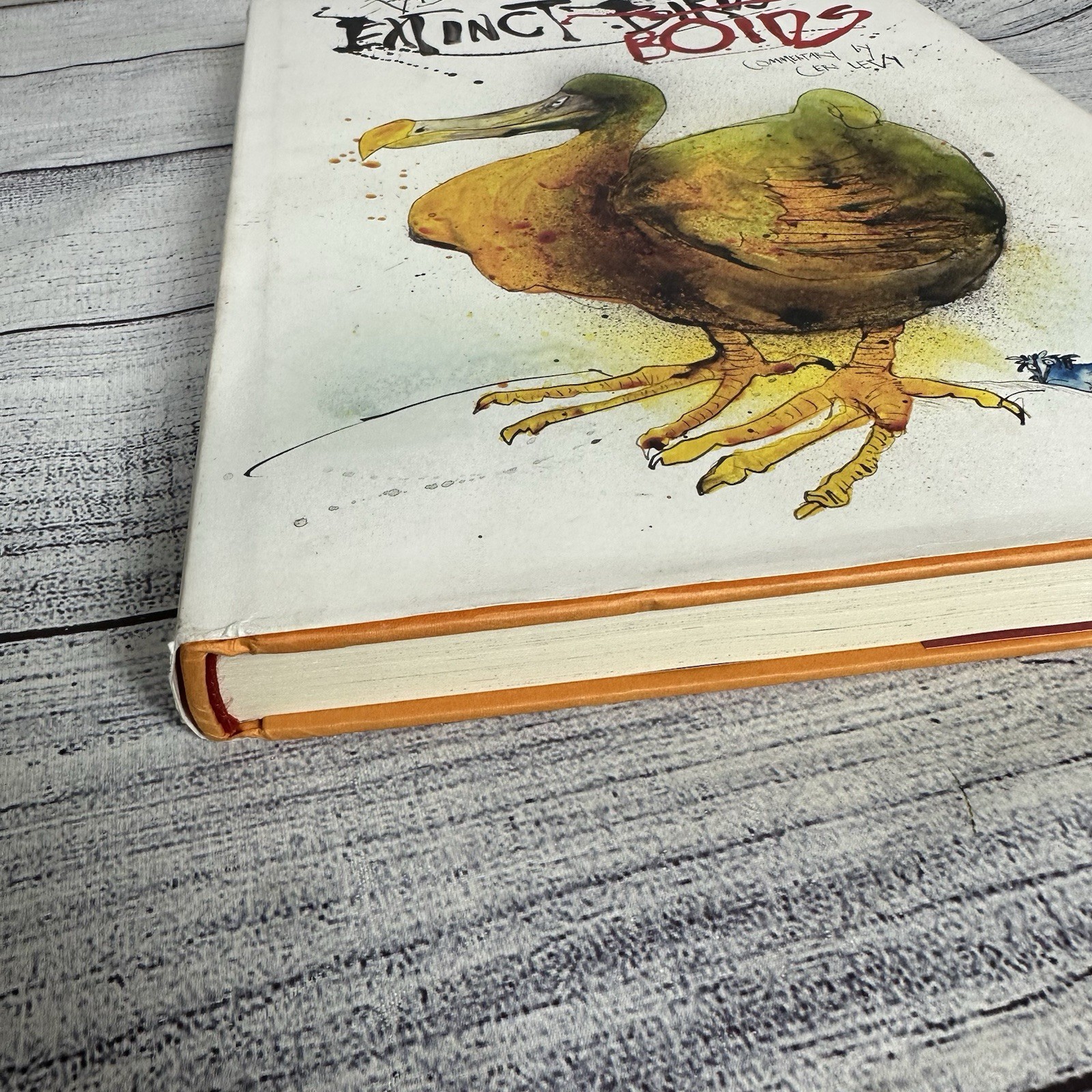 Extinct Boids by Ralph Steadman: Used