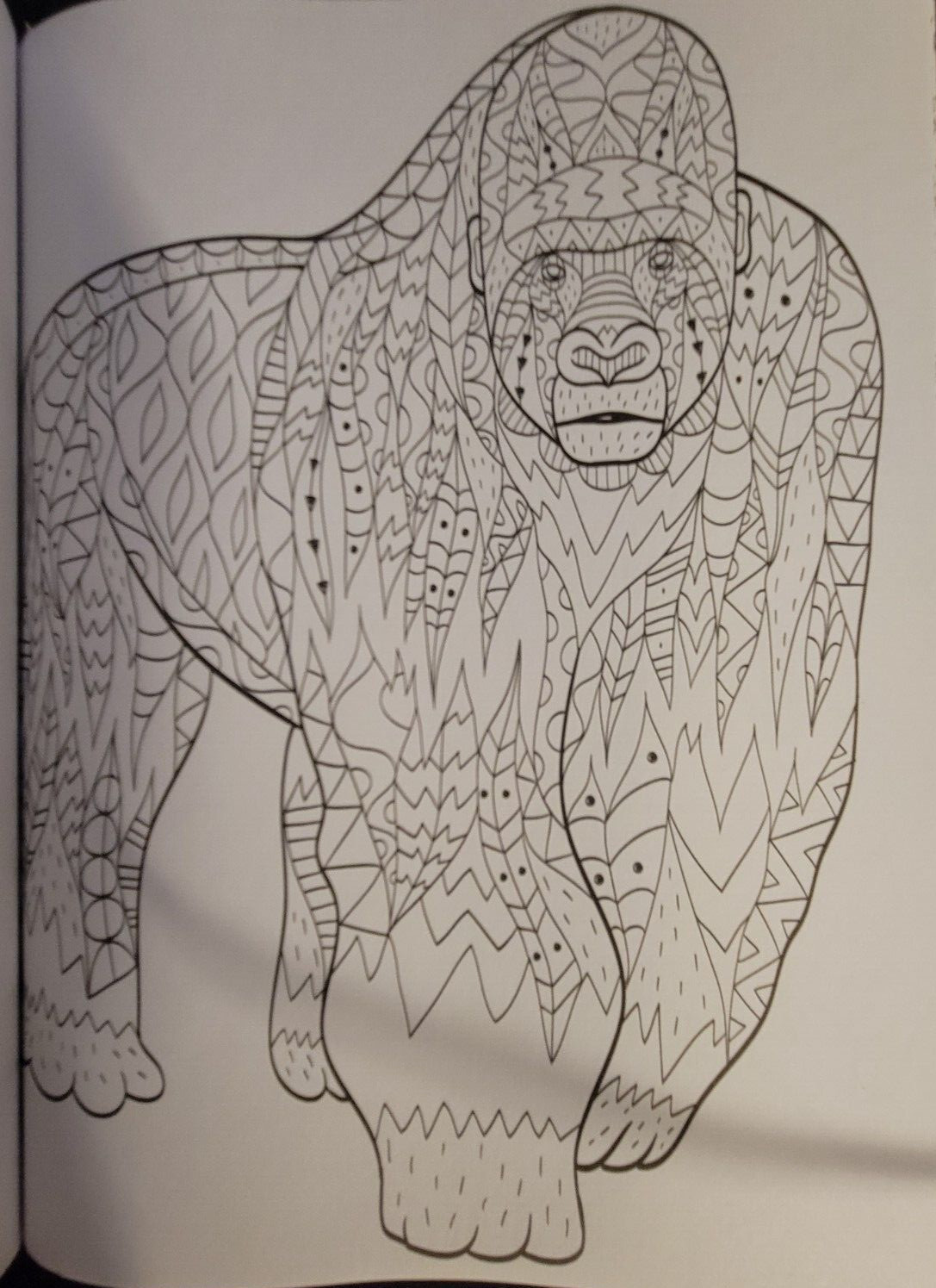 MAJESTIC CREATURES Vol 16 Adult Coloring Book With 47 Prints Ready To Frame