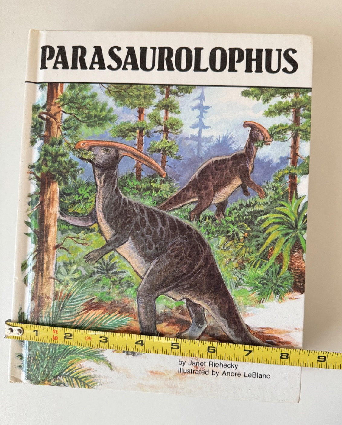 Lot of 7 Dinosaur Picture Books by Janet Riehecky Hardcover-Child’s World,Inc