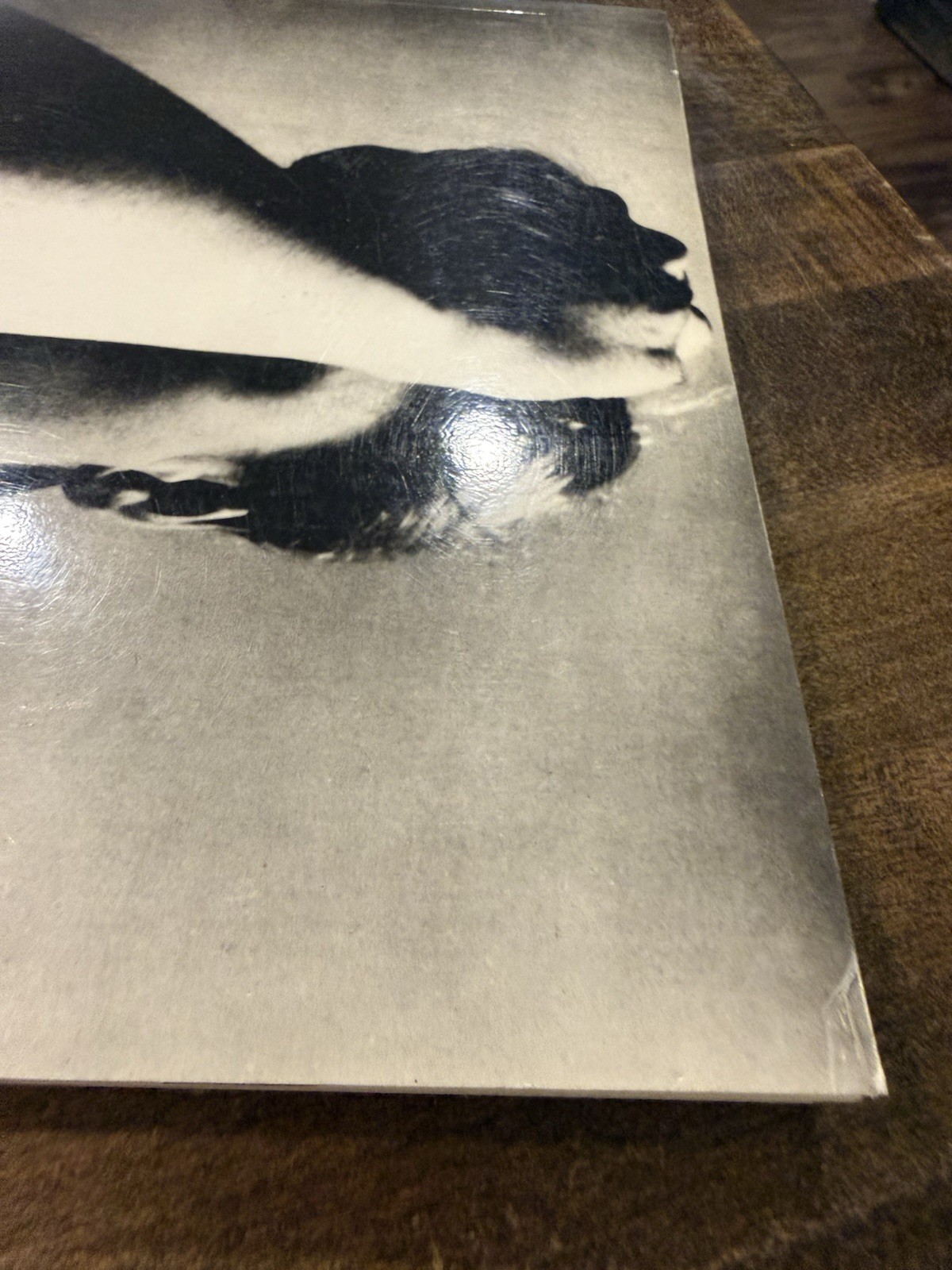 Bill Brandt: Photographs 1928-1983