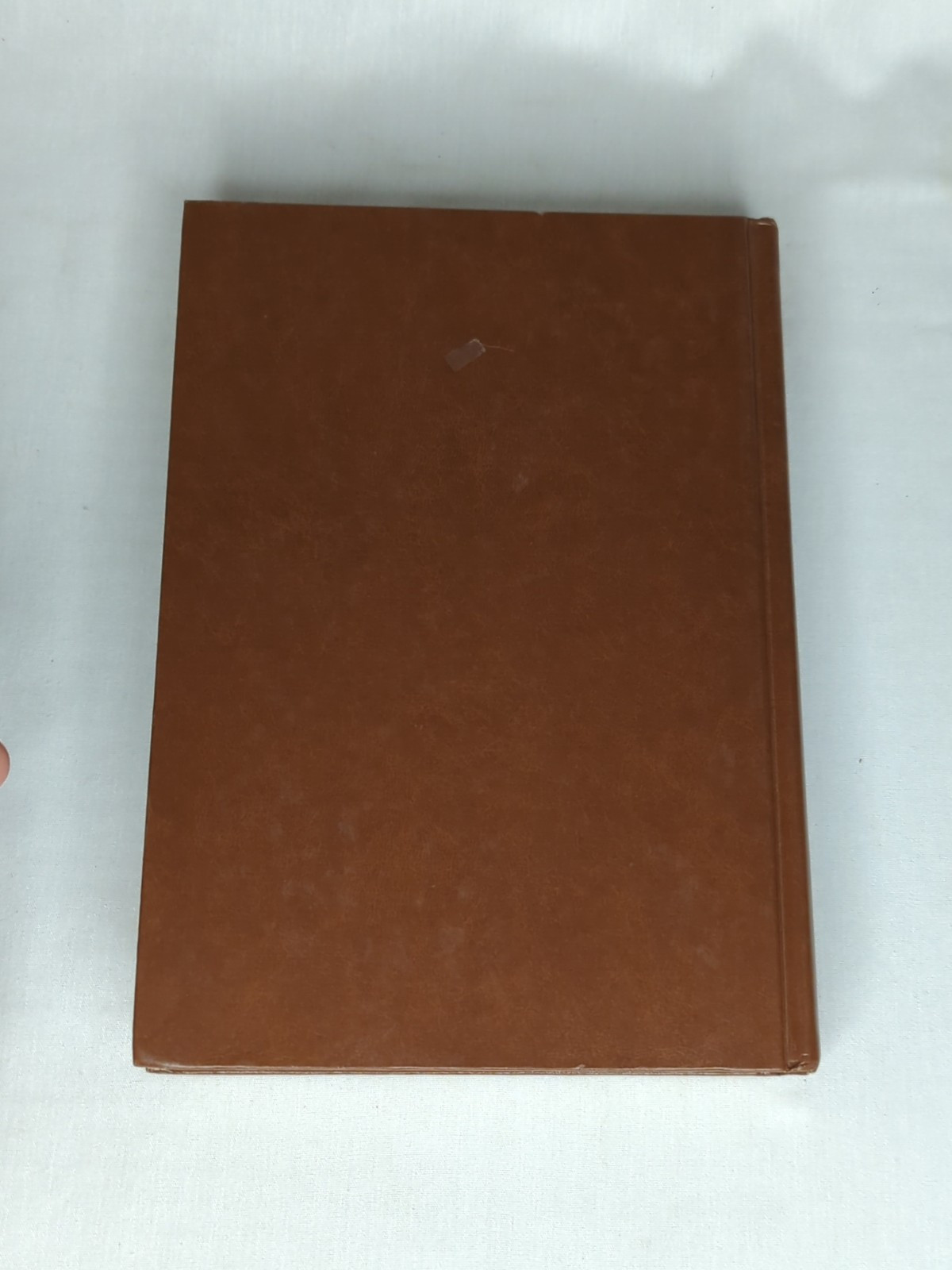 Illustrated Dinosaur Dictionary by Helen R. Sattler 1983, Hardcover