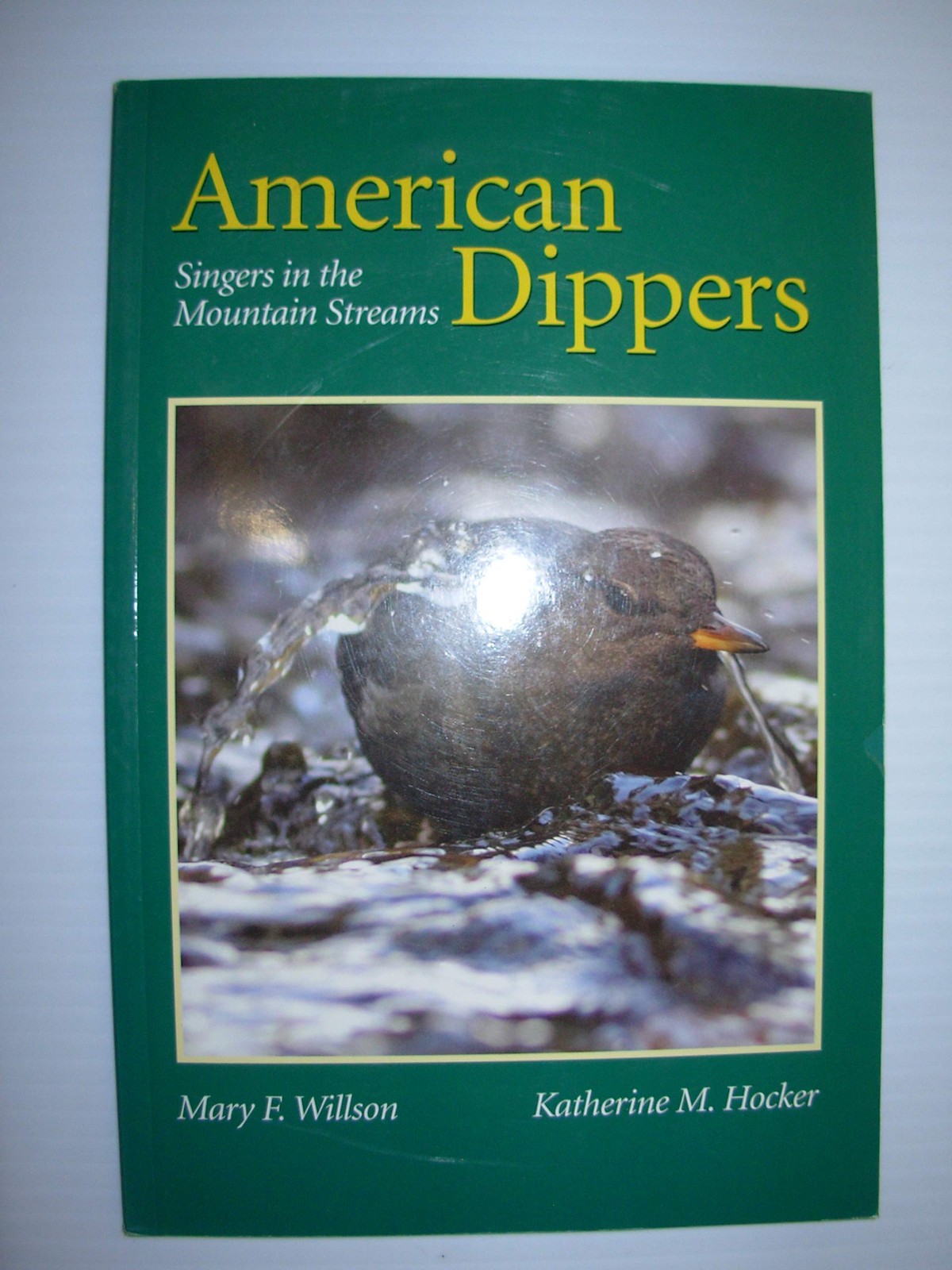 American Dippers: Singers in the Mountain Streams