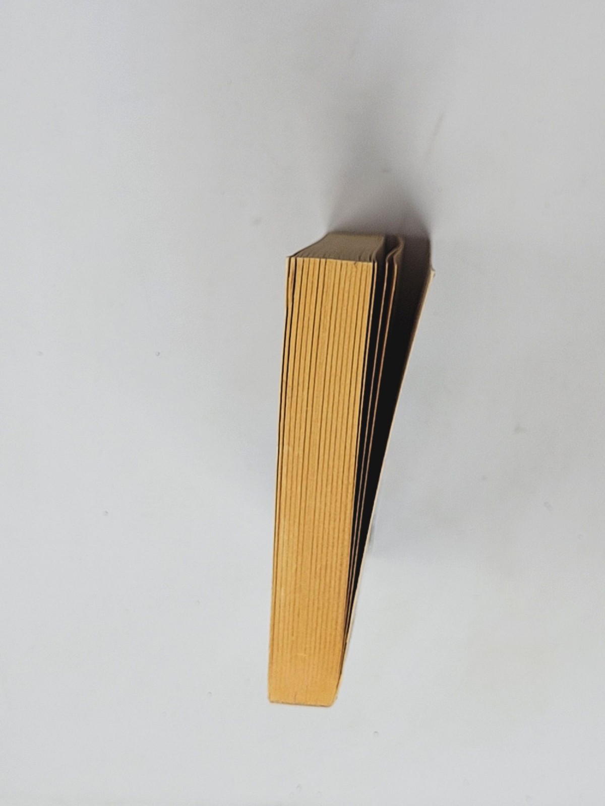 STEVEN BRUST (JAMES GURNEY SIGNED) 1ST – Cowboy Feng’s Space Bar and Grille 1990