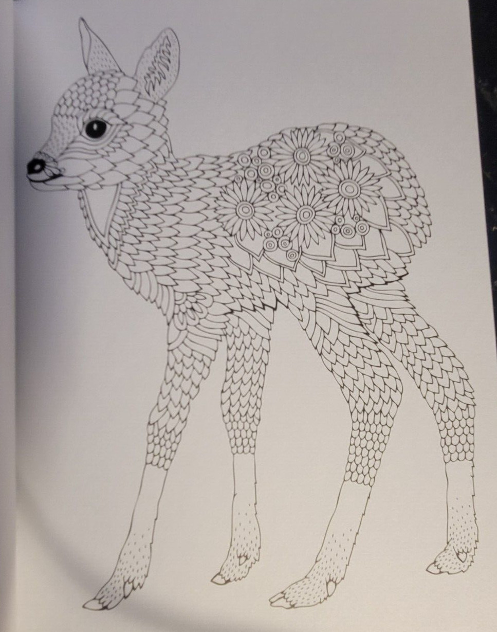 MAGJESTIC CREATURES Vol 14 – Adult Coloring Book by TOPIX MEDIA – 47 PRINTS