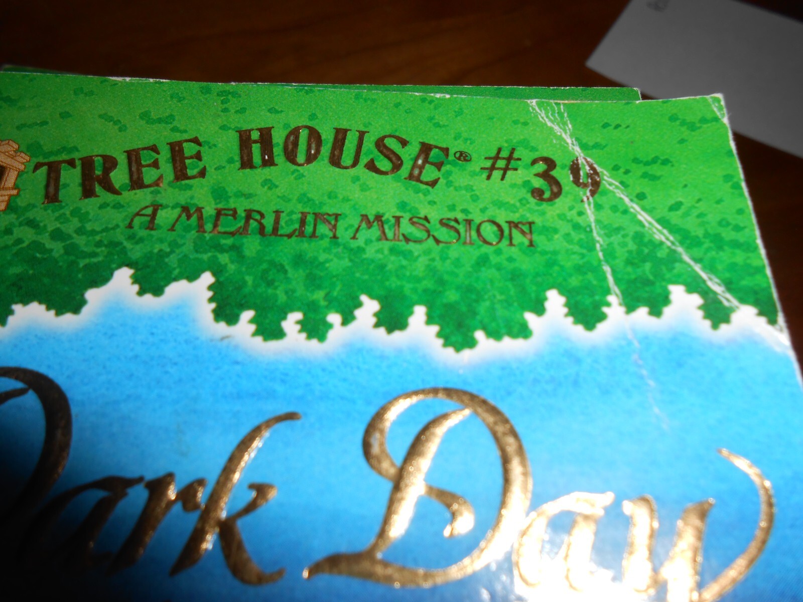 16 Mary Pope Osborne MAGIC TREE HOUSE Merlin Missions & Fact Tracker- TPB VGC