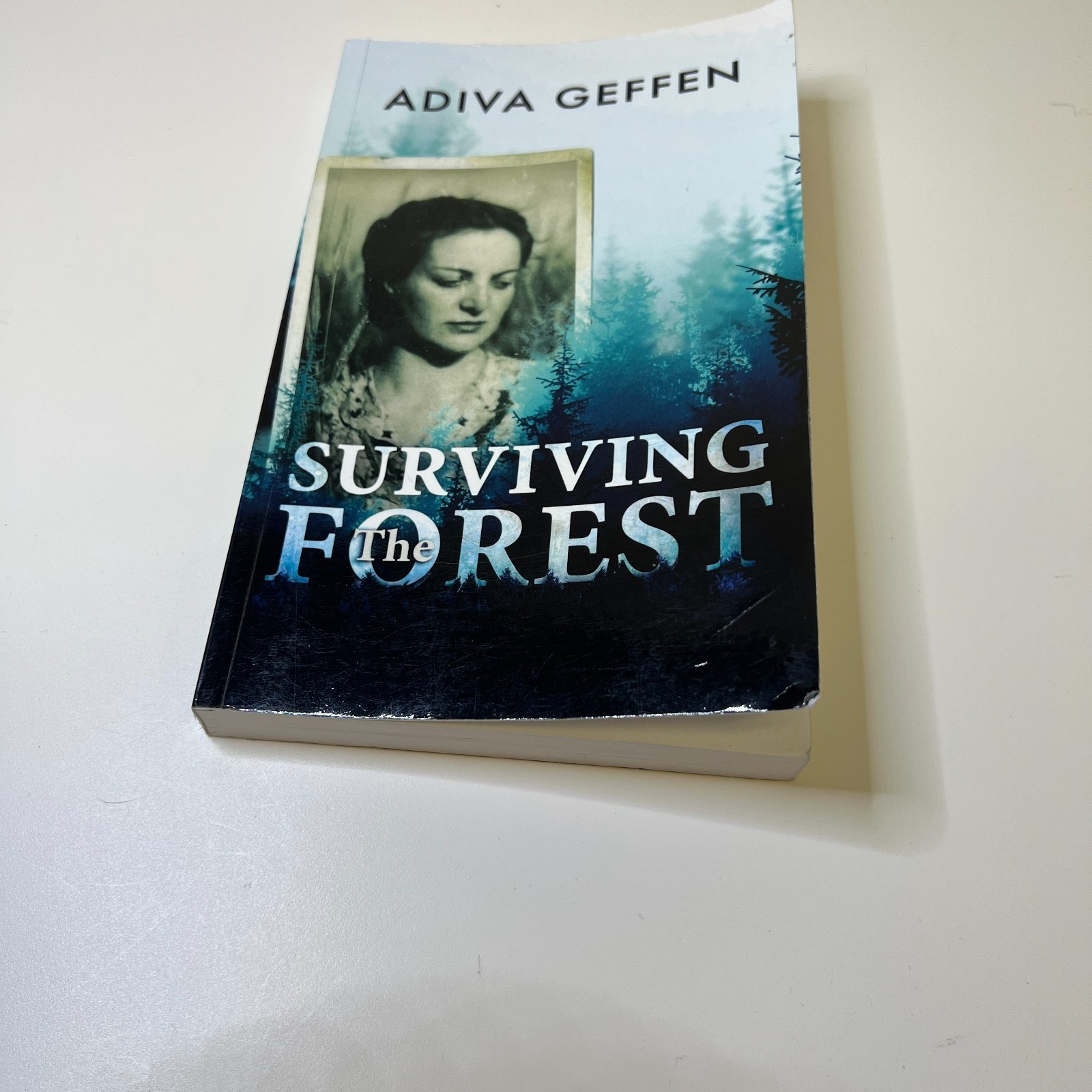 Surviving The Forest (A WW2 Historical Novel) by Adiva Geffen