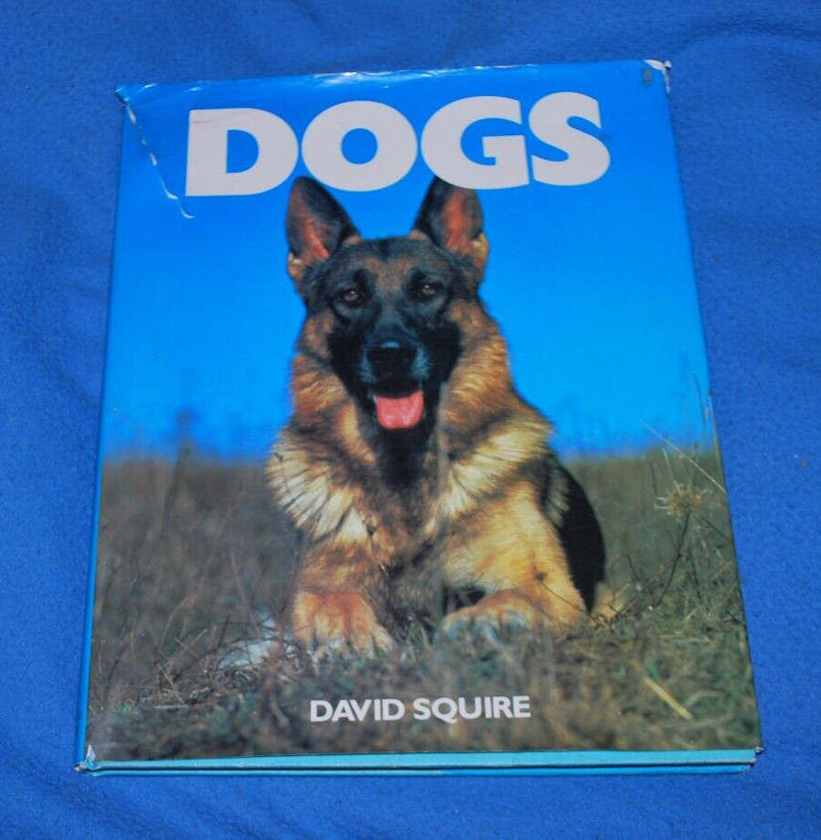 DOGS (1978 oversized hardcover w dj) David Squire Fast Free Ship