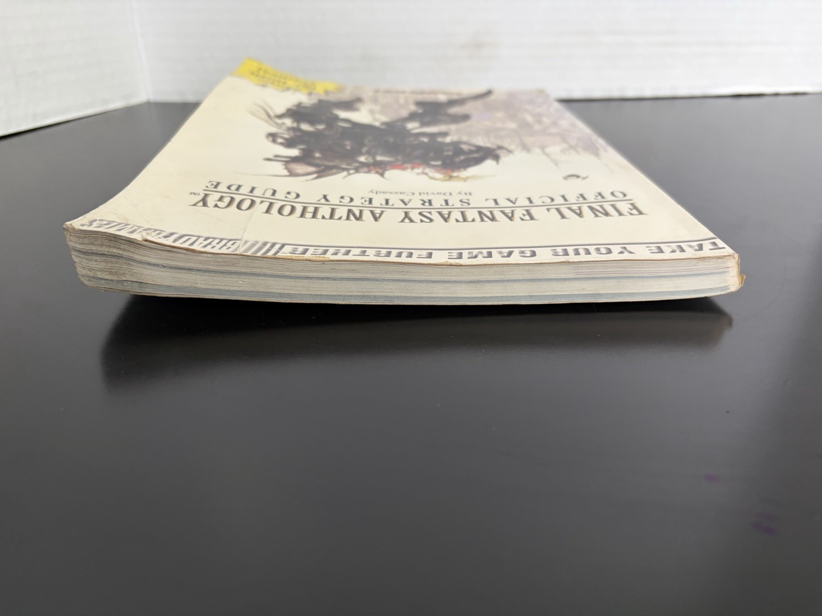 Final Fantasy Anthology Walkthrough Brady Games Strategy Guide Water Damage